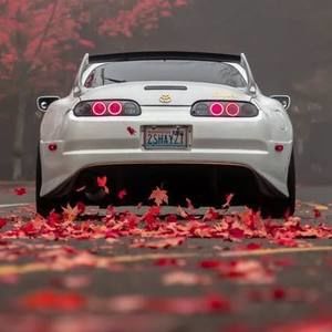 Meet your Posher, Nathan